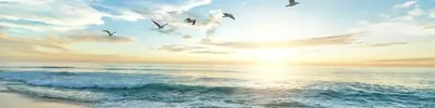 Pourquoi je pense encore à lui ? Comprendre l'attachement