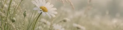 L'Amoureux au tarot : signification et choix du cœur — Auryel